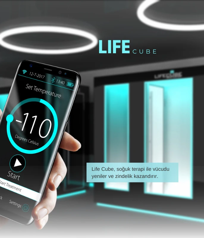 Life Cube